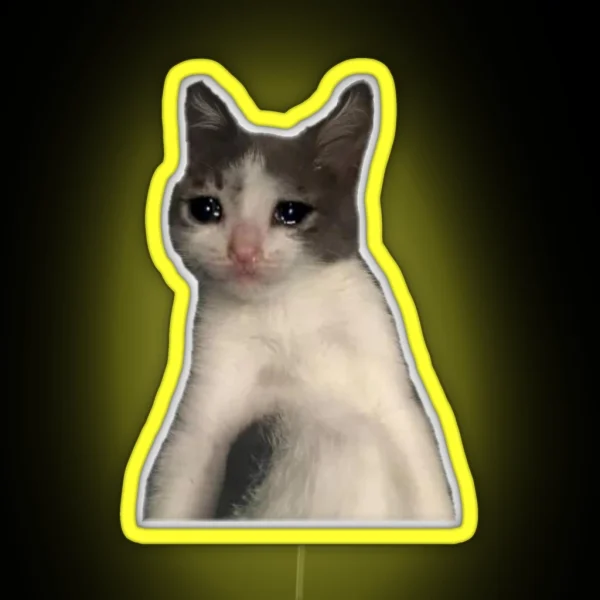 Cat Crying Meme RGB Neon Sign