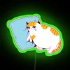 Cozy Cat Cries in Rainbow Glory with Vibrant RGB Neon Sign