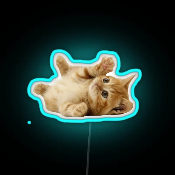 Cat RGB Neon Sign