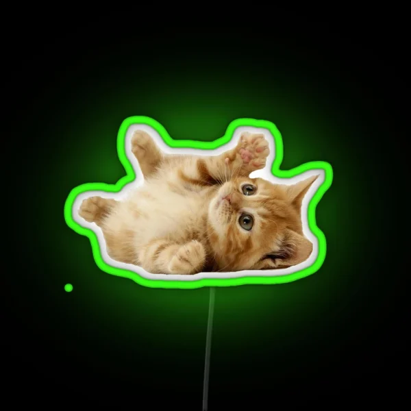 Cat RGB Neon Sign