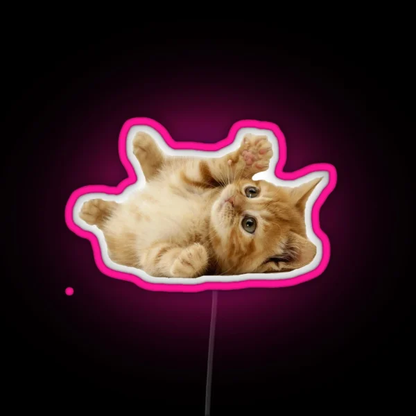 Cat RGB Neon Sign