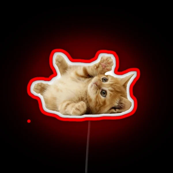 Cat RGB Neon Sign