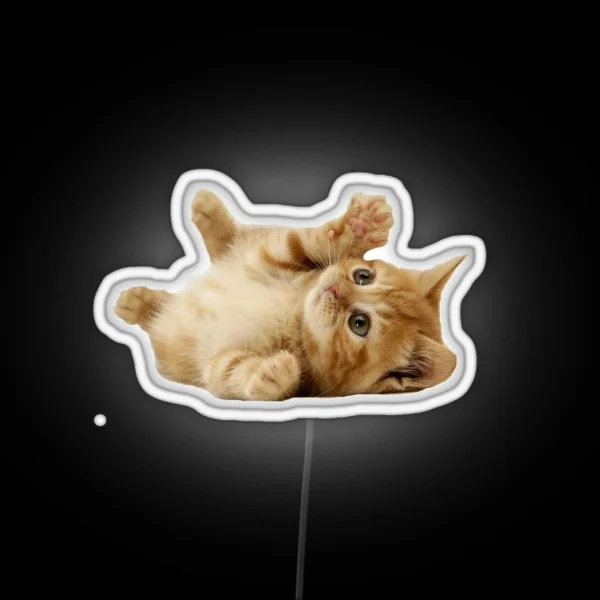 Cat RGB Neon Sign