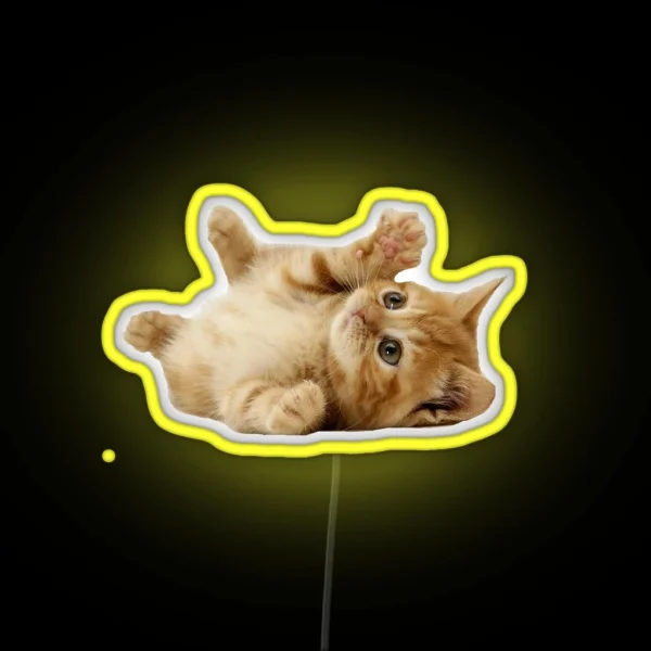 Cat RGB Neon Sign