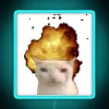 Eye-catching Cat Explosion Head Reaction Meme Decorative Neon Light Sign.