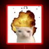Cool feline explosive reaction meme illuminated in vibrant RGB neon glow