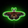 Vibrant Ceanothus-inspired neon silk moth wall decor with colorful RGB accents.