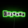 Vibrant Customizable LED Neon Sign with Color-Changing RGB Effects and Letters