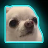Quirky, humorous Chihuahua snot bubble meme decor for fun spaces