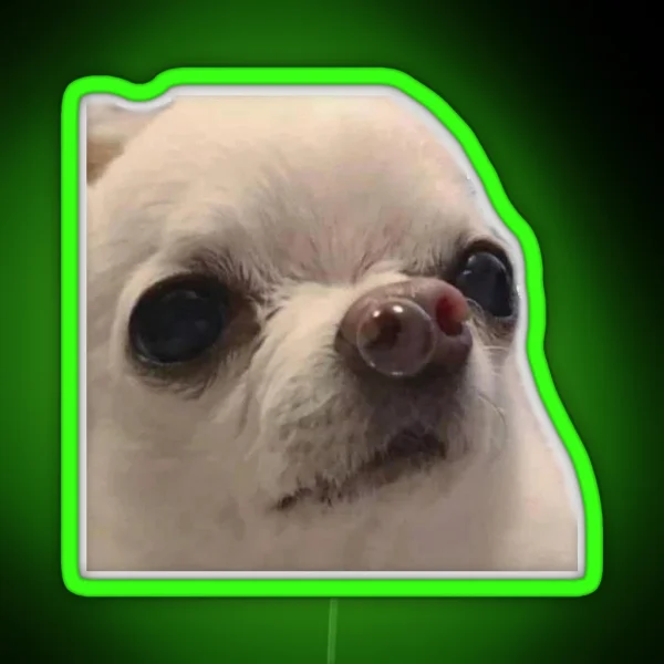 Chihuahua Snot Bubble Meme RGB Neon Sign