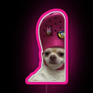 Chihuahua With A Croc On Its Head RGB Neon Sign