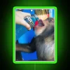 Vibrant Neon Sign Featuring a Relaxed Chimp Drinking Powerade Electroluminescent
