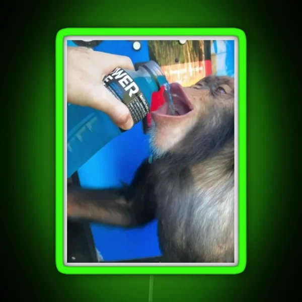Chimp Drinking Powerade RGB Neon Sign