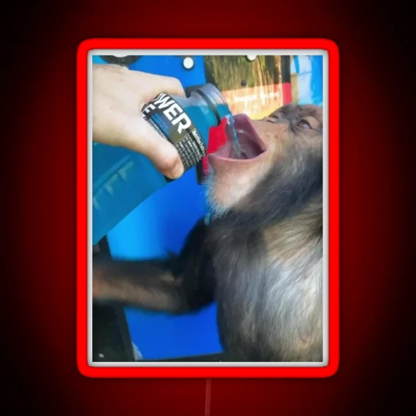 Chimp Drinking Powerade RGB Neon Sign