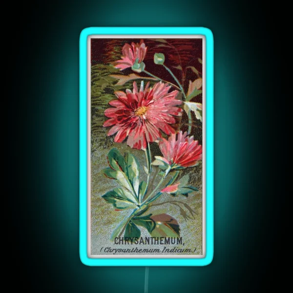 Chrysanthemum Chrysanthemum Indicum RGB Neon Sign