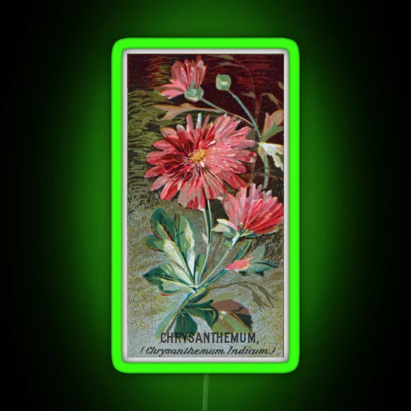 Chrysanthemum Chrysanthemum Indicum RGB Neon Sign