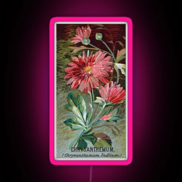 Chrysanthemum Chrysanthemum Indicum RGB Neon Sign