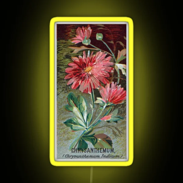 Chrysanthemum Chrysanthemum Indicum RGB Neon Sign