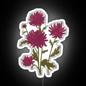 Chrysanthemum Drawing Chrysanthemums Mums Floral Illustration RGB Neon Sign