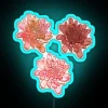 Pink and orange chrysanthemums glow on a black RBG LED neon sign