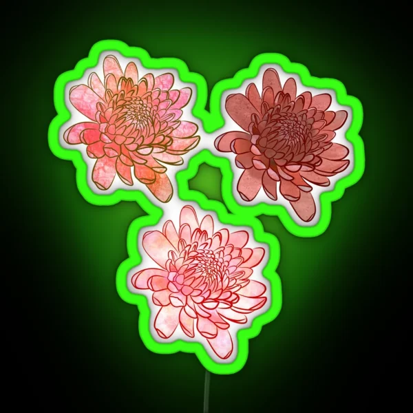 Chrysanthemum Flowers In Pink And Orange With Black RGB Neon Sign