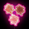 RGB Neon Sign with Vibrant Chrysanthemum Flowers in Pink Orange