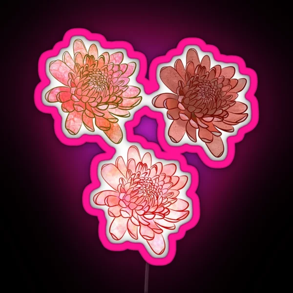 Chrysanthemum Flowers In Pink And Orange With Black RGB Neon Sign