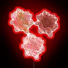 Vibrant Pink and Orange Chrysanthemum Blooms on Dark Neon Backdrop