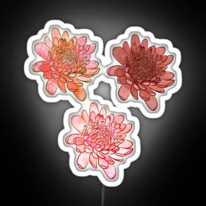 Chrysanthemum Flowers In Pink And Orange With Black Background RGB Neon Sign