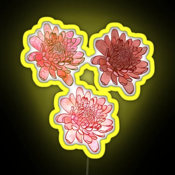 Chrysanthemum Flowers In Pink And Orange With Black RGB Neon Sign