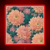 Vibrant RGB neon light with chrysanthemum flower design emits glow.