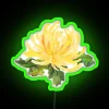 RGB Neon Chrysanthemum Sign Decor Adds Warm Ambiance to Room Interiors.