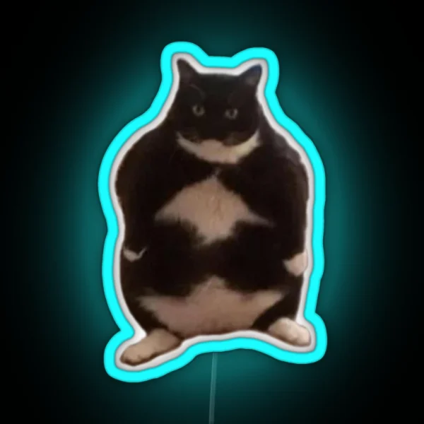 Chubby Cat RGB Neon Sign