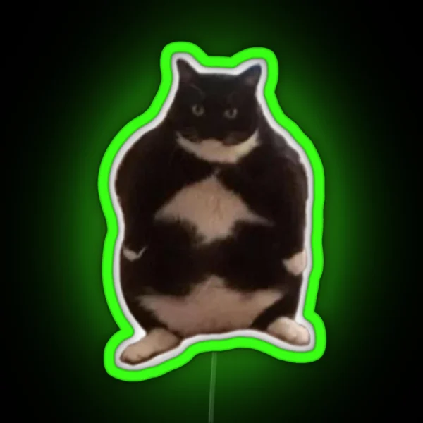 Chubby Cat RGB Neon Sign
