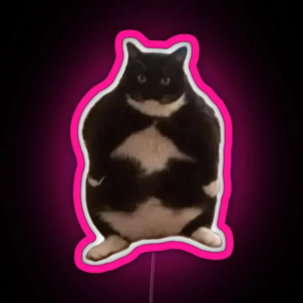 Chubby Cat RGB Neon Sign