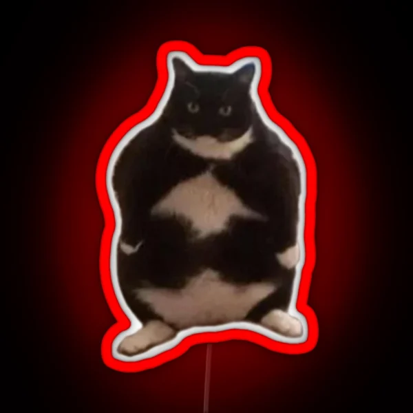 Chubby Cat RGB Neon Sign