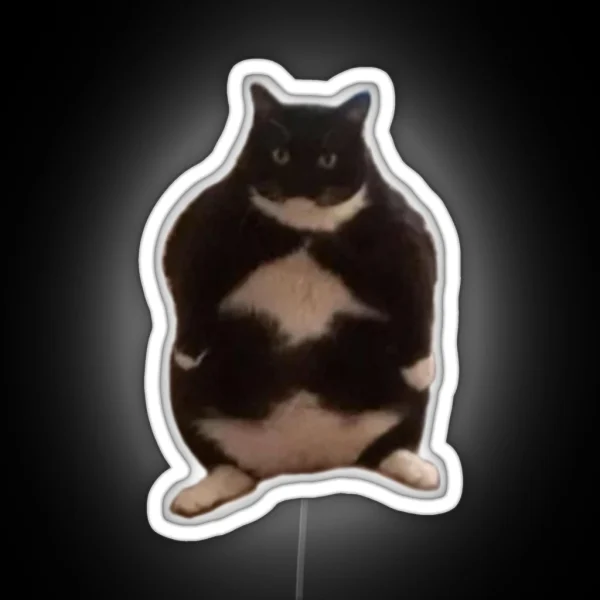 Chubby Cat RGB Neon Sign