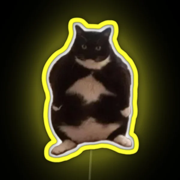 Chubby Cat RGB Neon Sign