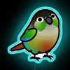 Colorful vibrant Chubby Green Cheek Conure lover's decorative bedroom wall art