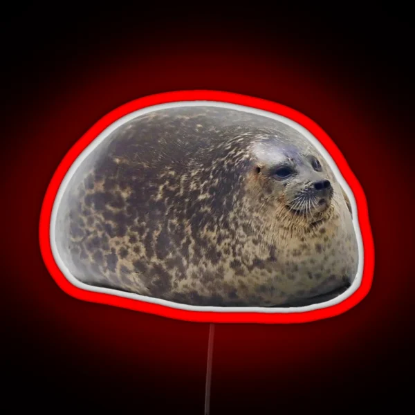 Chubby Seal RGB Neon Sign