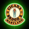 Mid-Atlantic Maryland home decor featuring vibrant RGB neon cicada hatch art