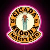 RGB LED Art Display Celebrating 2021 Maryland Cicada Brood X Event