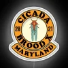 Neon sign captures vibrant essence of 2021 MD cicada brood.
