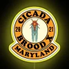Vibrant Colorful Outdoor LED Sign Celebrating 2021 Maryland Cicadas Emerging Now