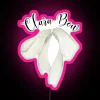 Clara Bow inspired colorful neon style RGB LED decorative display