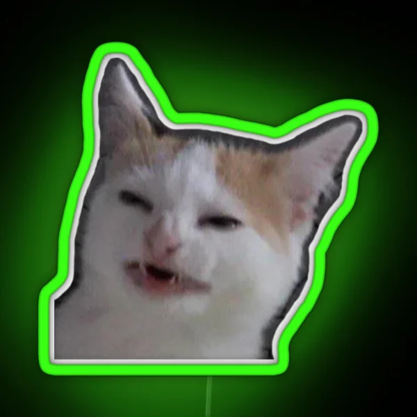 Confused Cat RGB Neon Sign