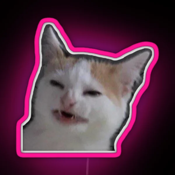 Confused Cat RGB Neon Sign