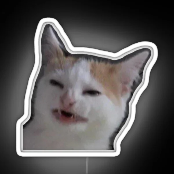 Confused Cat RGB Neon Sign