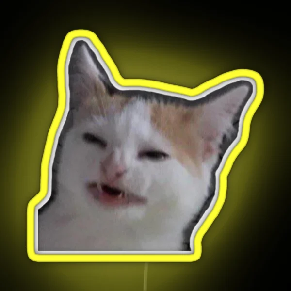 Confused Cat RGB Neon Sign