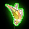 Vibrant RGB Neon Sign Featuring Colorful Conure Parrot Design Decor